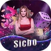 Casino Hold'em Game 